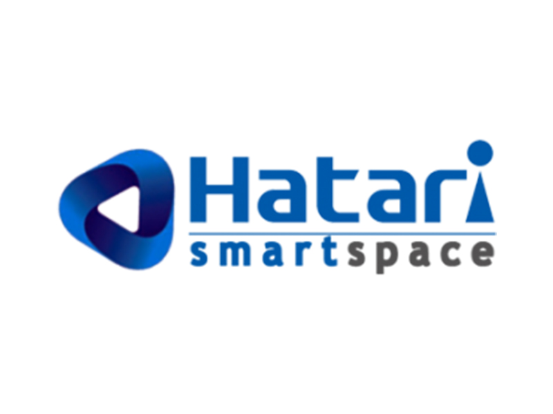 Hatari Wireless Co., Ltd.  SEO and SEM, Google Ads services