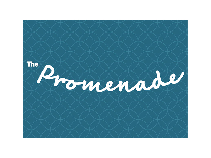 The Promenade Shopping Mall  SEO and SEM, Google Ads services