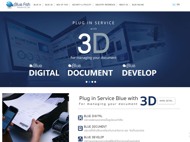 Blue Fish Solution Co.,Ltd.   Website Development service